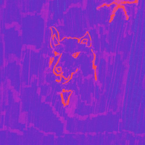 Dehd, mood ring, indie rock, alt rock, alternative rock, tour dates