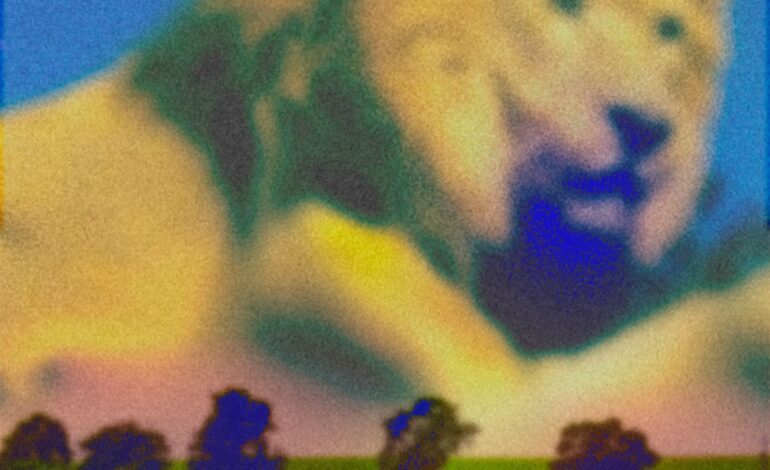 Early Internet’s New Album ‘Ruminator’ is Here! Stream Now on All Platforms!