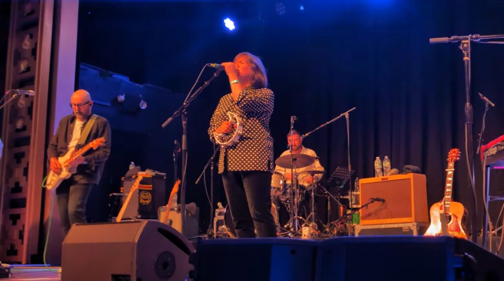 Camera obscura, live review, Webster hall