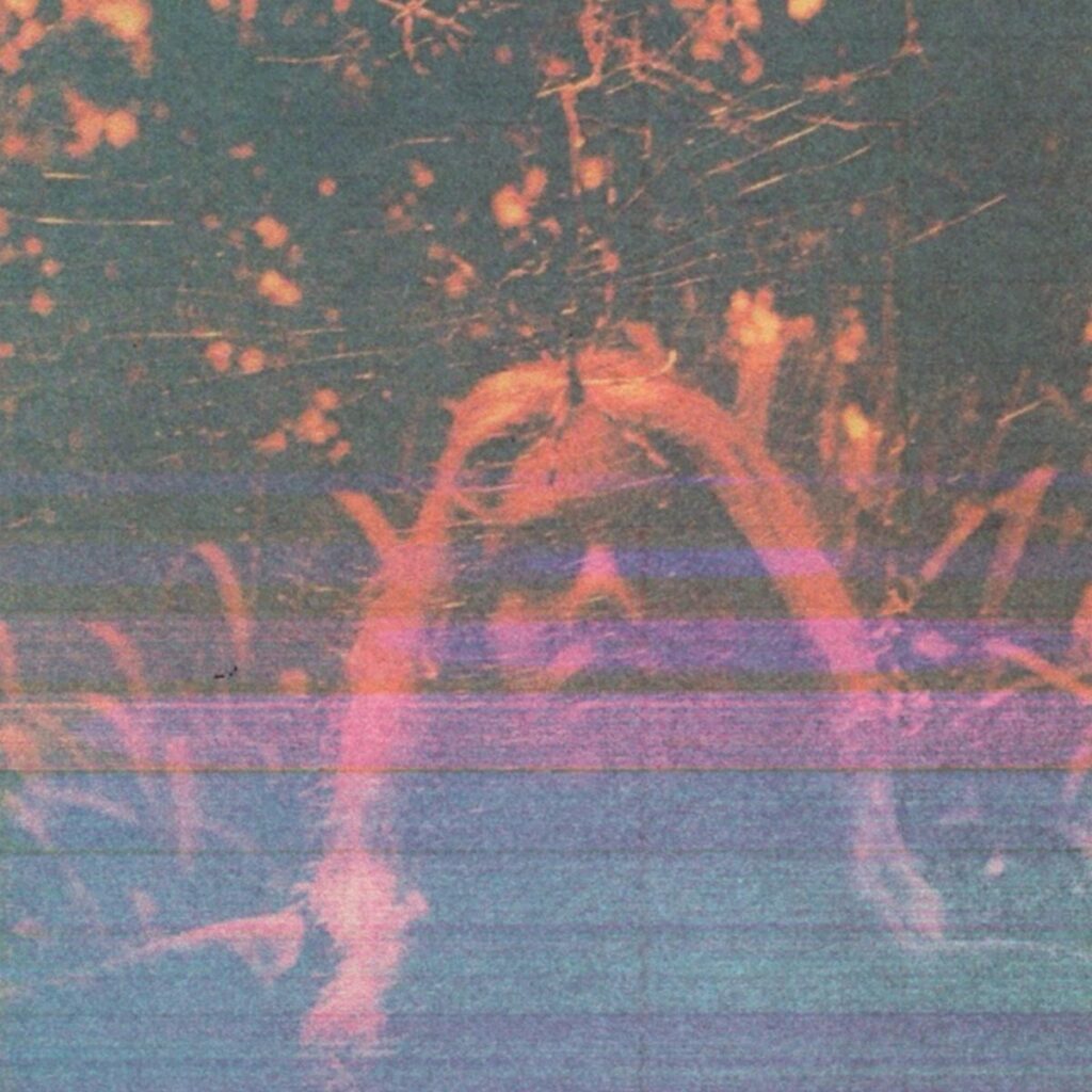 Turnover, Peripheral Vision, Peripheral Vision 10, Emo Revival, Indie Rock, Dream Pop, Shoegaze, Vinyl Collector, Alternative Rock, Humming, Music News, New Music, Album Anniversary, Now Spinning, Turnover Band