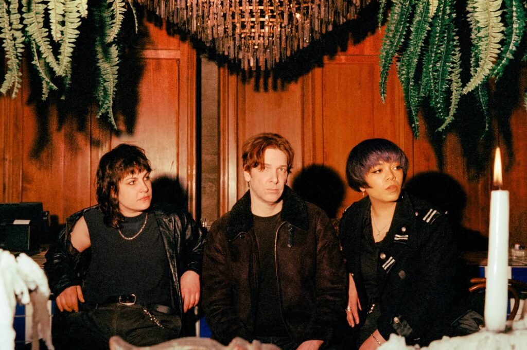 Ganser, Animal Hospital, Black Sand, post-punk, art rock, no wave, Sophie Sputnik, Alicia Gaines, Angus Andrew, felte records, new album 2025, Chicago bands, darkwave music, queer artists, protest music