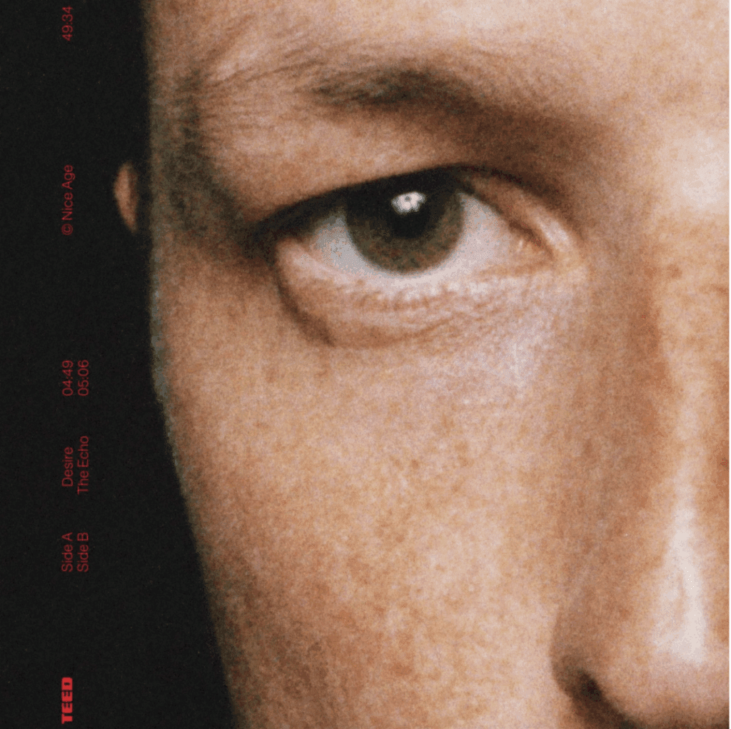 TEED, Desire, The Echo, new music, electro pop, synth pop, club music, GRAMMY nominee, music release, dance music, Orlando Higginbottom, Totally Enormous Extinct Dinosaurs